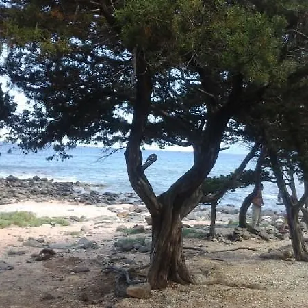 Bed & Breakfast Karmabnb