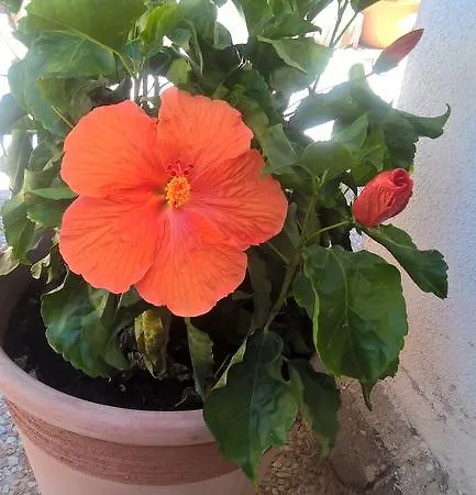 Karmabnb Bed & Breakfast Cala Gonone